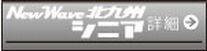 New Wave 北九州シニア